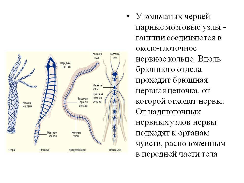 Kra11.cc